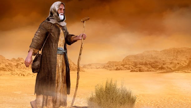 Getting in the&nbsp;way