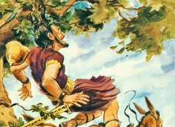 The Voice of&nbsp;Truth