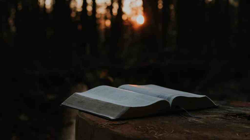 The Pattern of the World