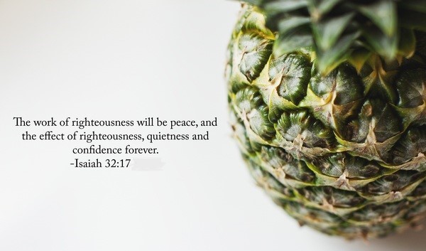 The Fruit of&nbsp;Righteousness
